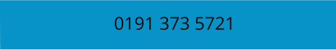 0191 373 5721